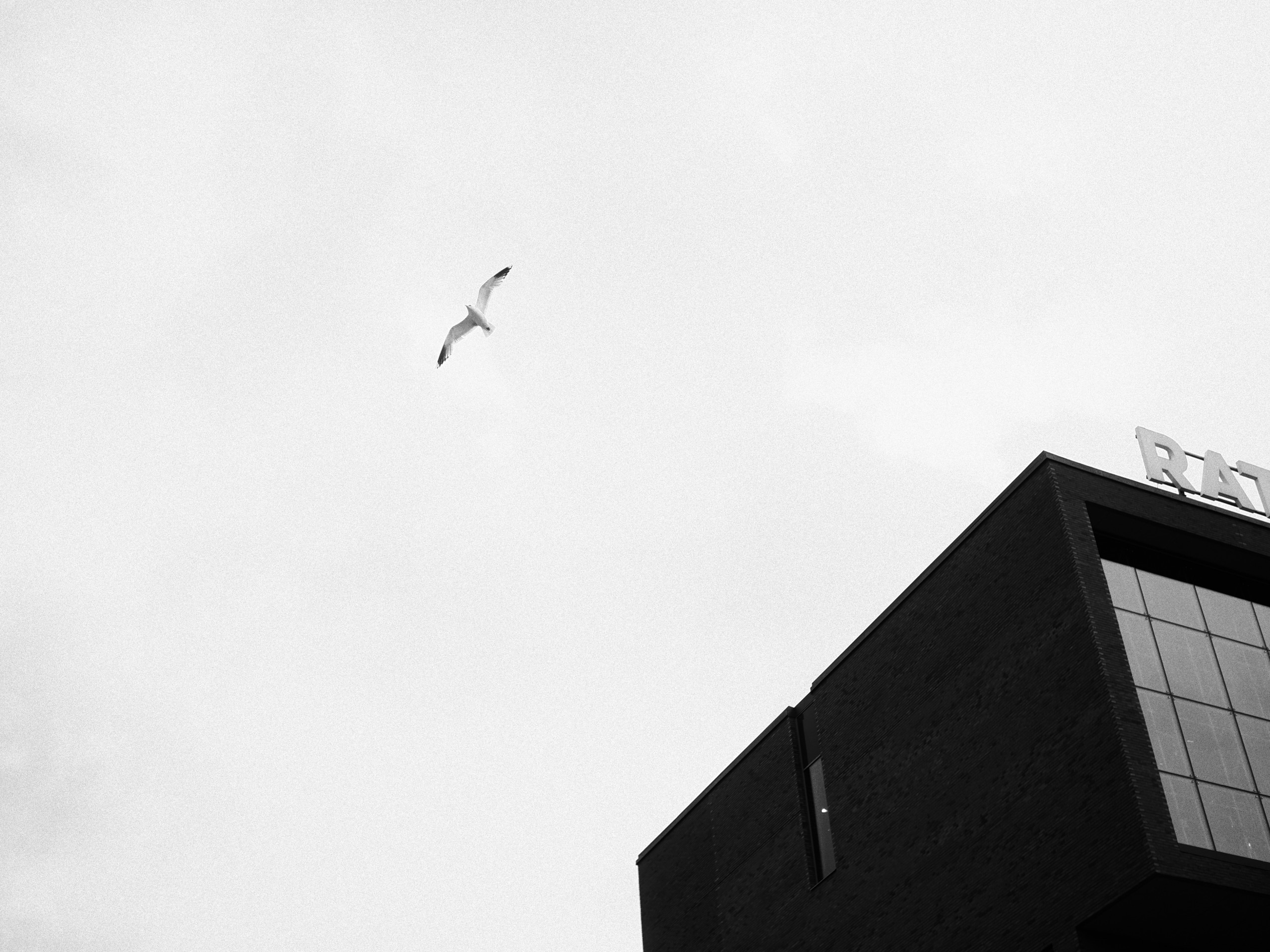 Photo walk in Tampere, Finland